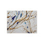 TABLEAU LE FILON D'OR